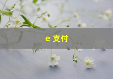 e 支付